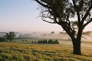 Big Hill Mist 3
