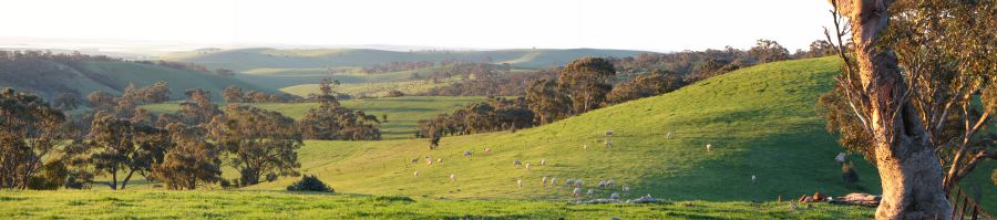 Brooks valley pan