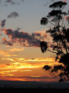 Brooks Hill Sunset 1
