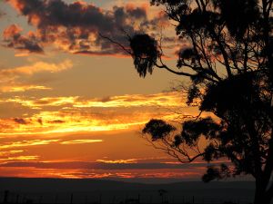 Brooks Hill Sunset 2