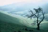 Sellicks Hill