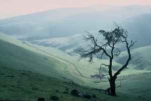 Sellicks Hill
