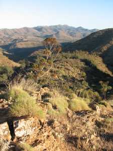 North of Angorichina 1
