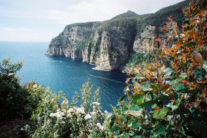 Waterfall Bay
