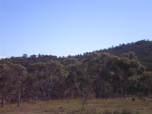 Bushland