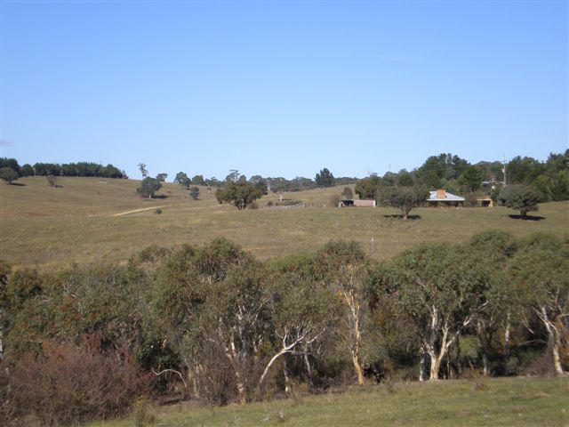 Grassland