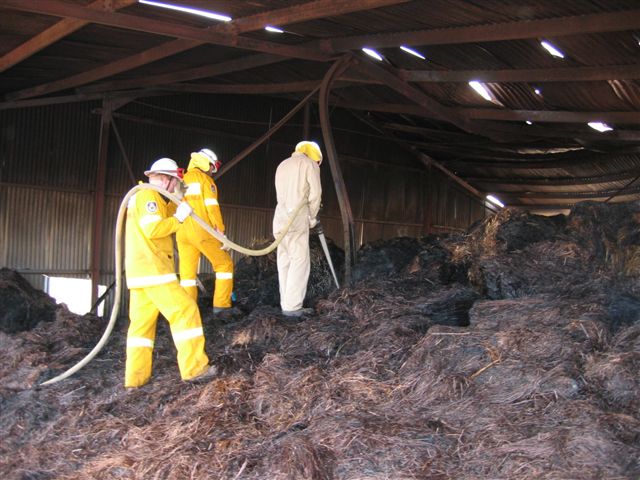Inside the shed