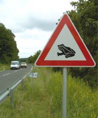 cartellobufo.JPG