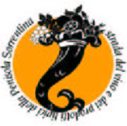 strada_del_vino_penisola_sorrentina_logo