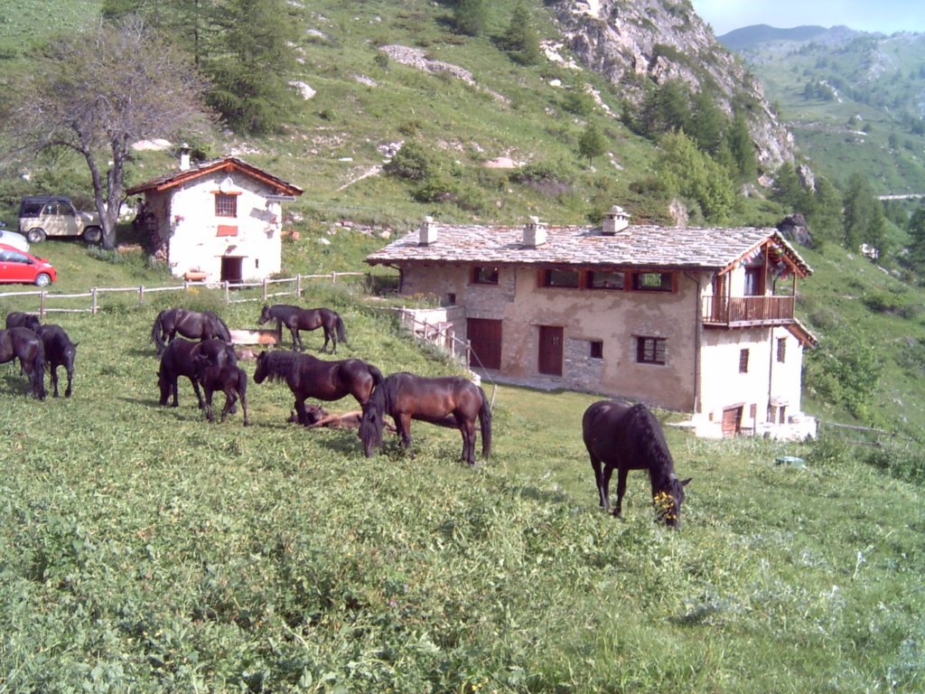lpic0009.jpg