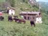 lpic0009_small.jpg