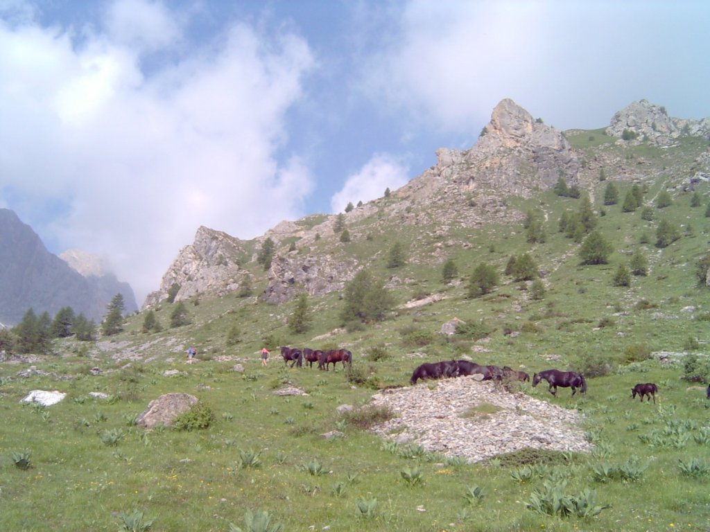 lpic0013.jpg