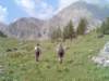 lpic0015_small.jpg