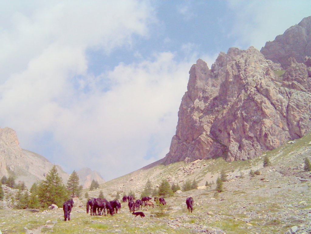 lpic0019.jpg