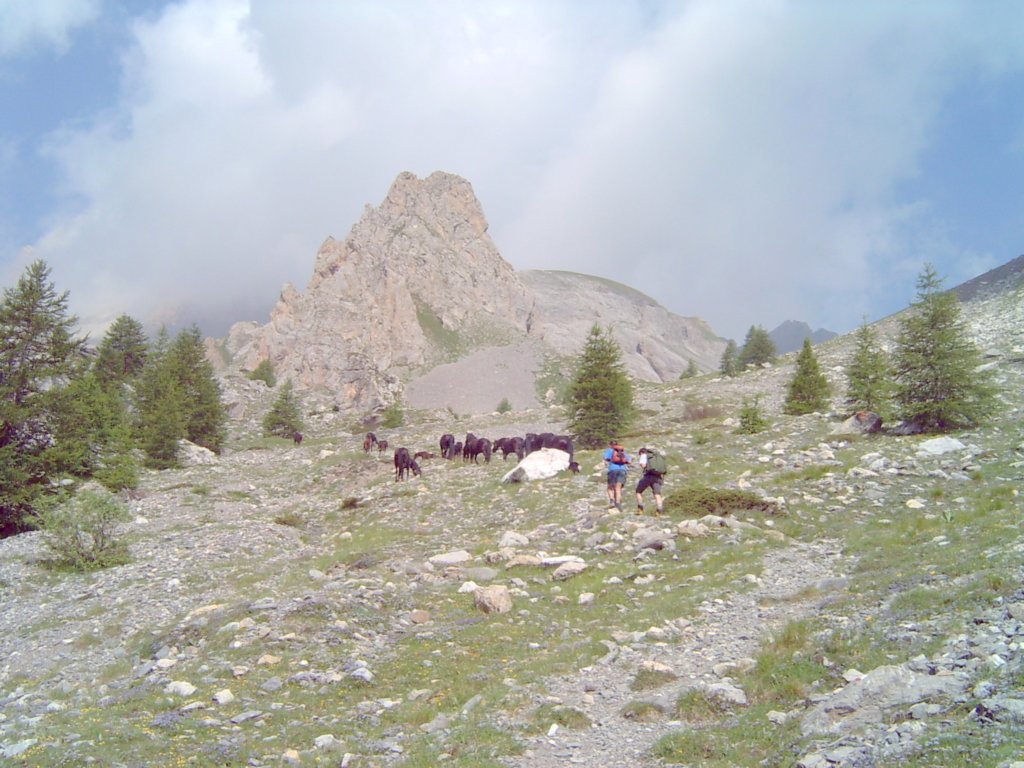 lpic0021.jpg