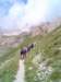 lpic0022_small.jpg