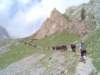 lpic0024_small.jpg