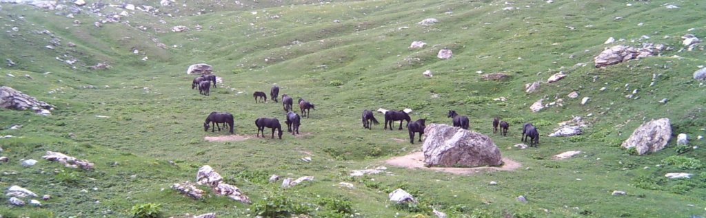 lpic0027.jpg
