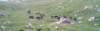 lpic0027_small.jpg