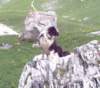 lpic0028_small.jpg