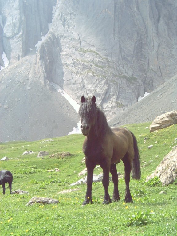 lpic0029.jpg