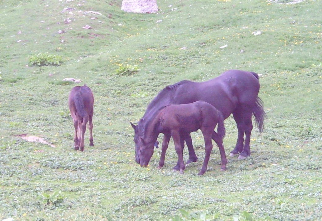 lpic0032.jpg