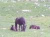 lpic0035_small.jpg