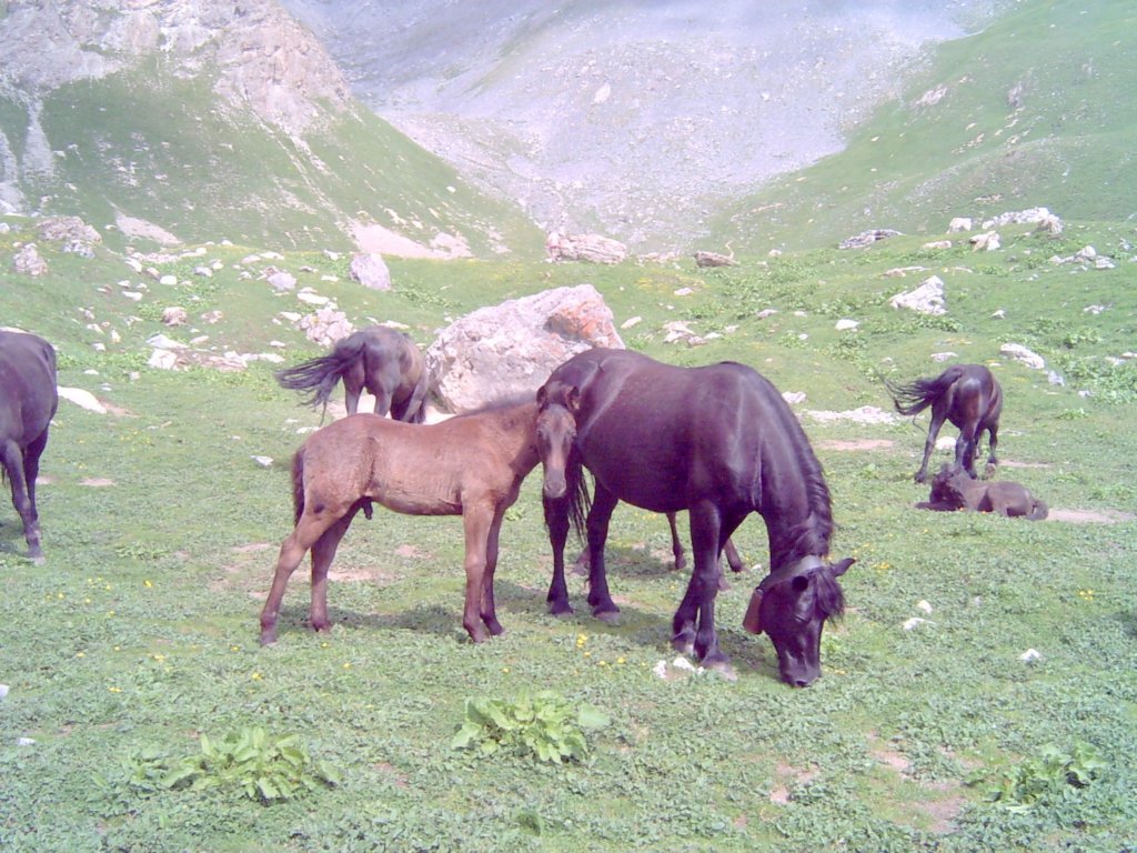 lpic0040.jpg