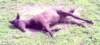 lpic0044_small.jpg