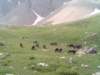 lpic0045_small.jpg