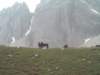 lpic0055_small.jpg