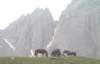 lpic0061_small.jpg