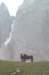 lpic0062_small.jpg