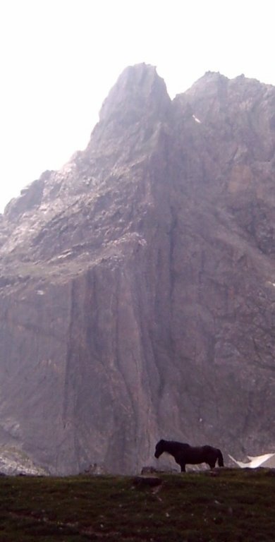 lpic0063.jpg
