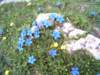 lpic0064_small.jpg