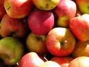 apples.jpg