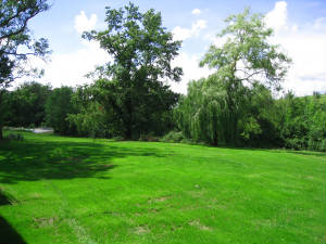 Backgarden1.JPG