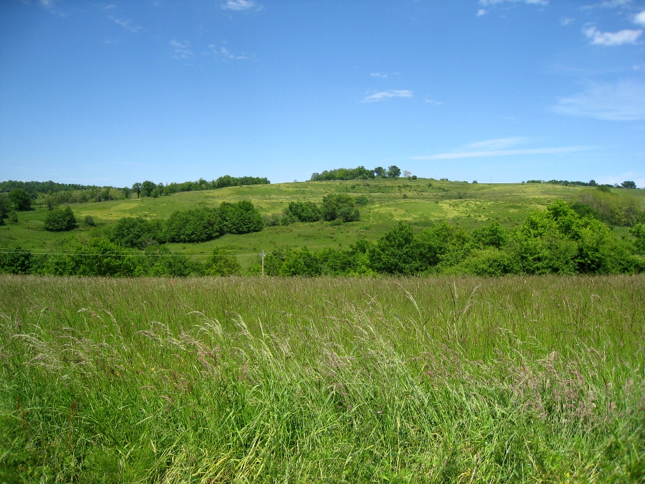 GIMG0149.JPG