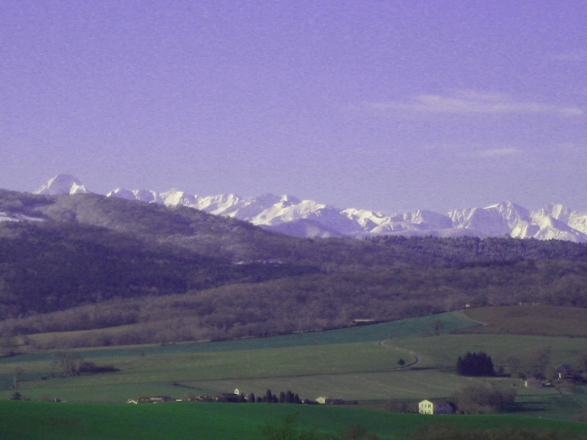 PyreneesDriveway.JPG