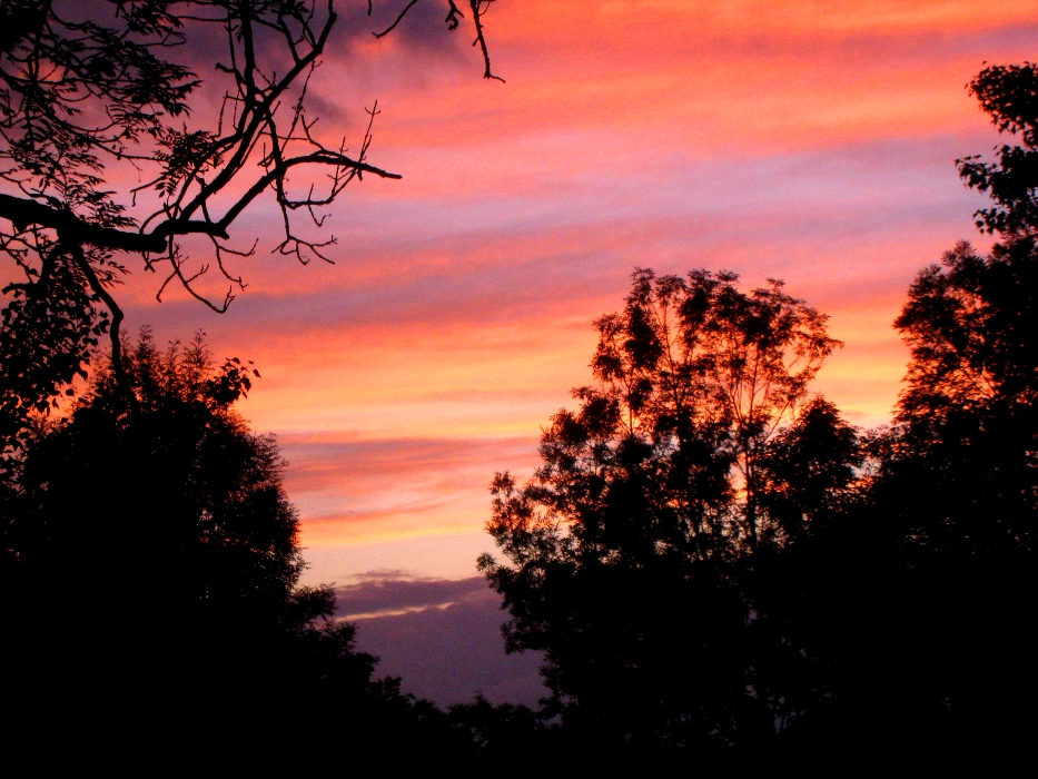 SunsetBalcony.JPG