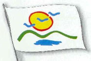 http://www.crwflags.com/fotw/images/c/co-dc-su.jpg