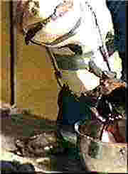 Vider
