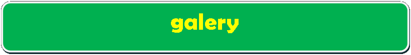Rectangle: Rounded Corners: galery