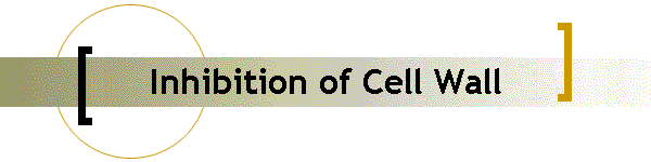 Inhibition of Cell Wall