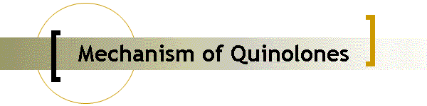 Mechanism of Quinolones