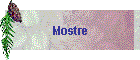 Mostre