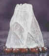 Sui31hi.JPG (17590 byte)