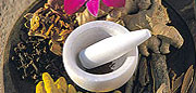 Ayurveda Resorts