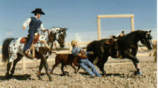 Hunter and Outlaw Blues