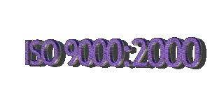 Versi�n 2000 de las normas ISO 9000